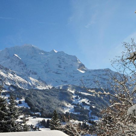 Apartment Bergfrieden By Interhome Wengen Zewnętrze zdjęcie