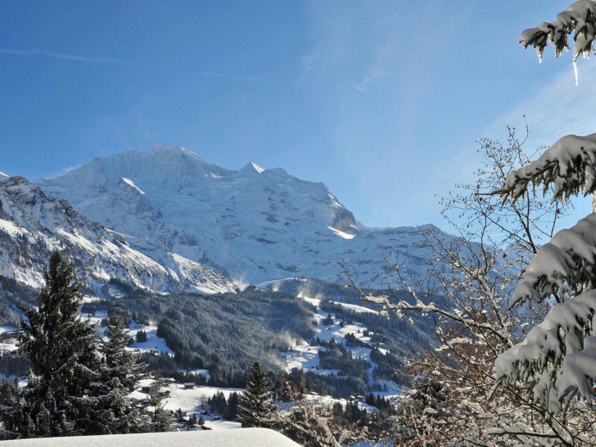 Apartment Bergfrieden By Interhome Wengen Zewnętrze zdjęcie